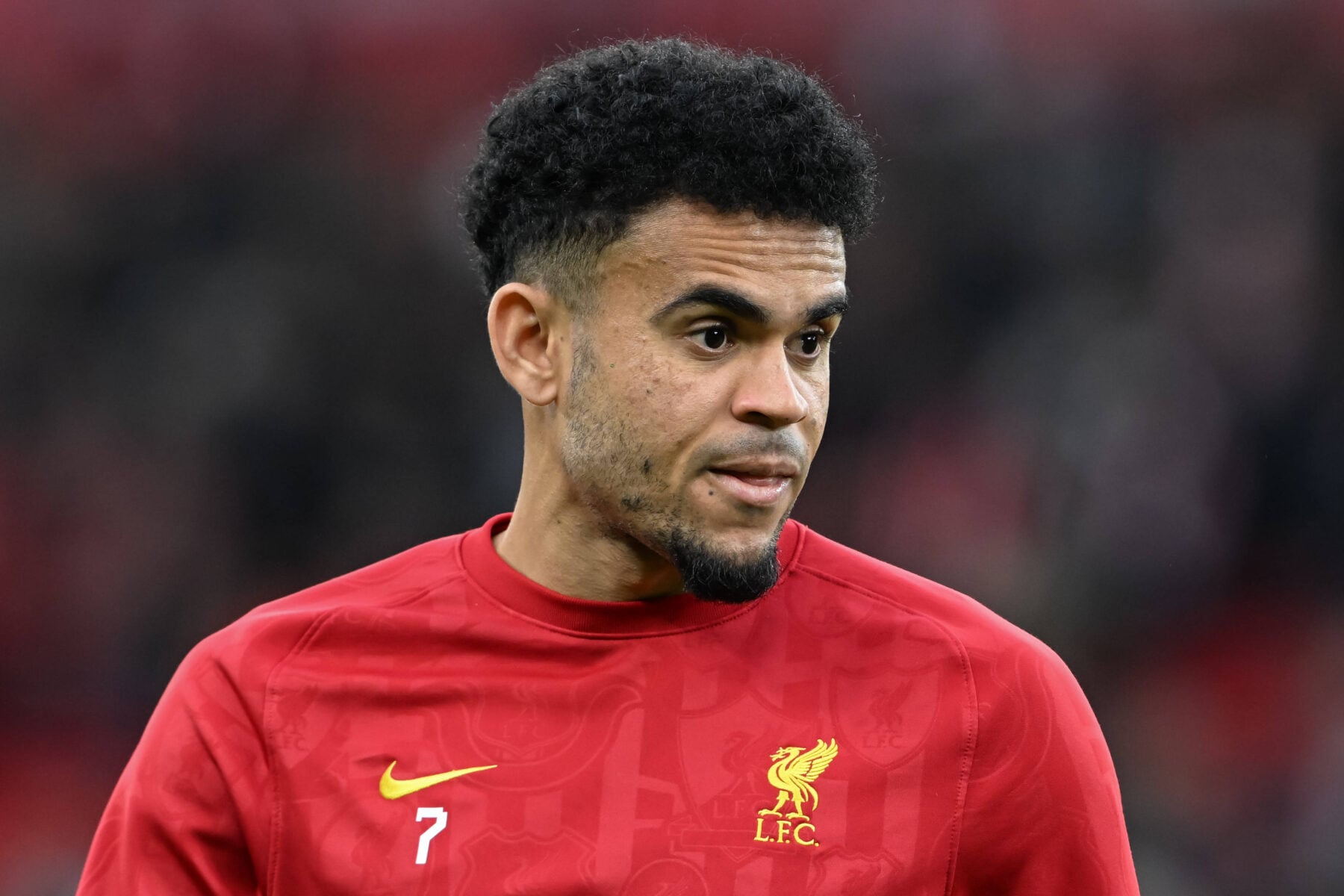 Er Luis Diaz fortsat at finde hos de engelske mestre fra Liverpool, når Premier League-bolden atter ruller i august?