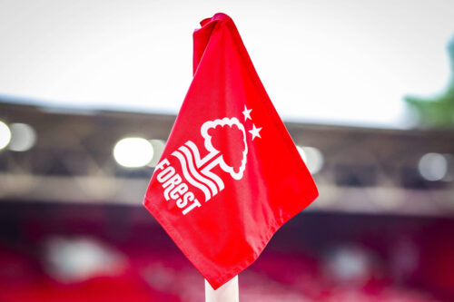 Det er nu en realitet, at Nottingham Forest har ansat en ny manager – og valget overrasker mange eksperter.