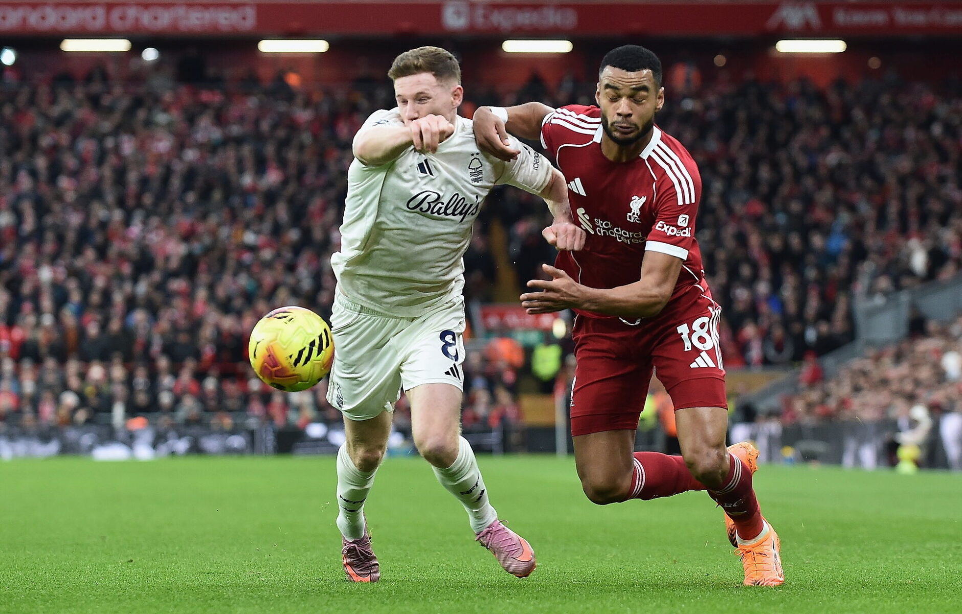 Elliot Anderson har angiveligt truffet et valg, der får store konsekvenser for Manchester United. Foto: EPA/PETER POWELL