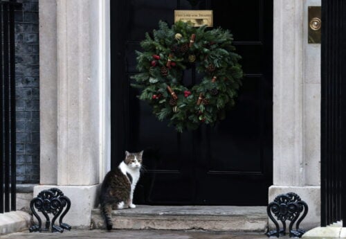 Landsholdsspiller anholdt.