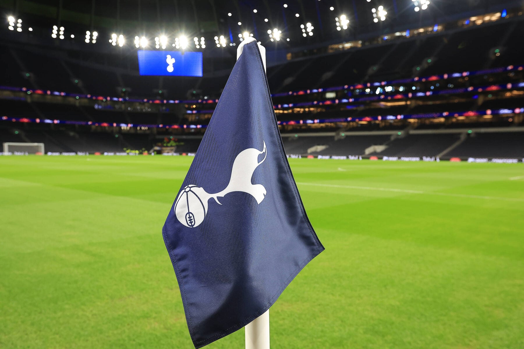 Tottenham-legende har sagt ja til jobbet.