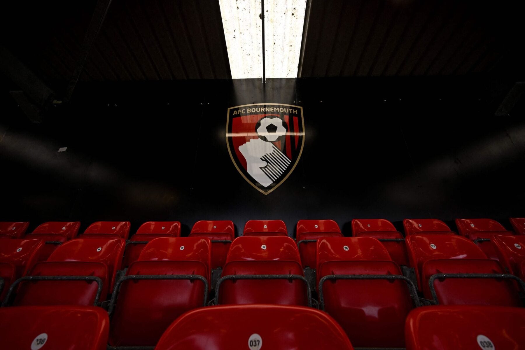 Når projektet står færdigt, vil Vitality Stadium være nærmest fordoblet i kapacitet.