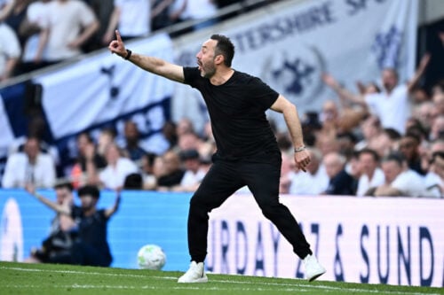 Efter et nervepirrende drama i sidste spillerunde sikrede Tottenham overlevelsen i Premier League med en vital 1-0-sejr over Everton.