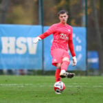 Brøndby henter Alexander Drexel.