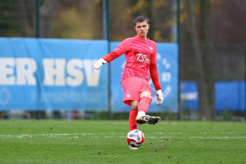 Brøndby henter Alexander Drexel.