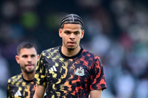 Der er gode nyheder på vej til William Osula i Newcastle, hvor den danske angriber kan ende med at blive Eddie Howes førstevalg.