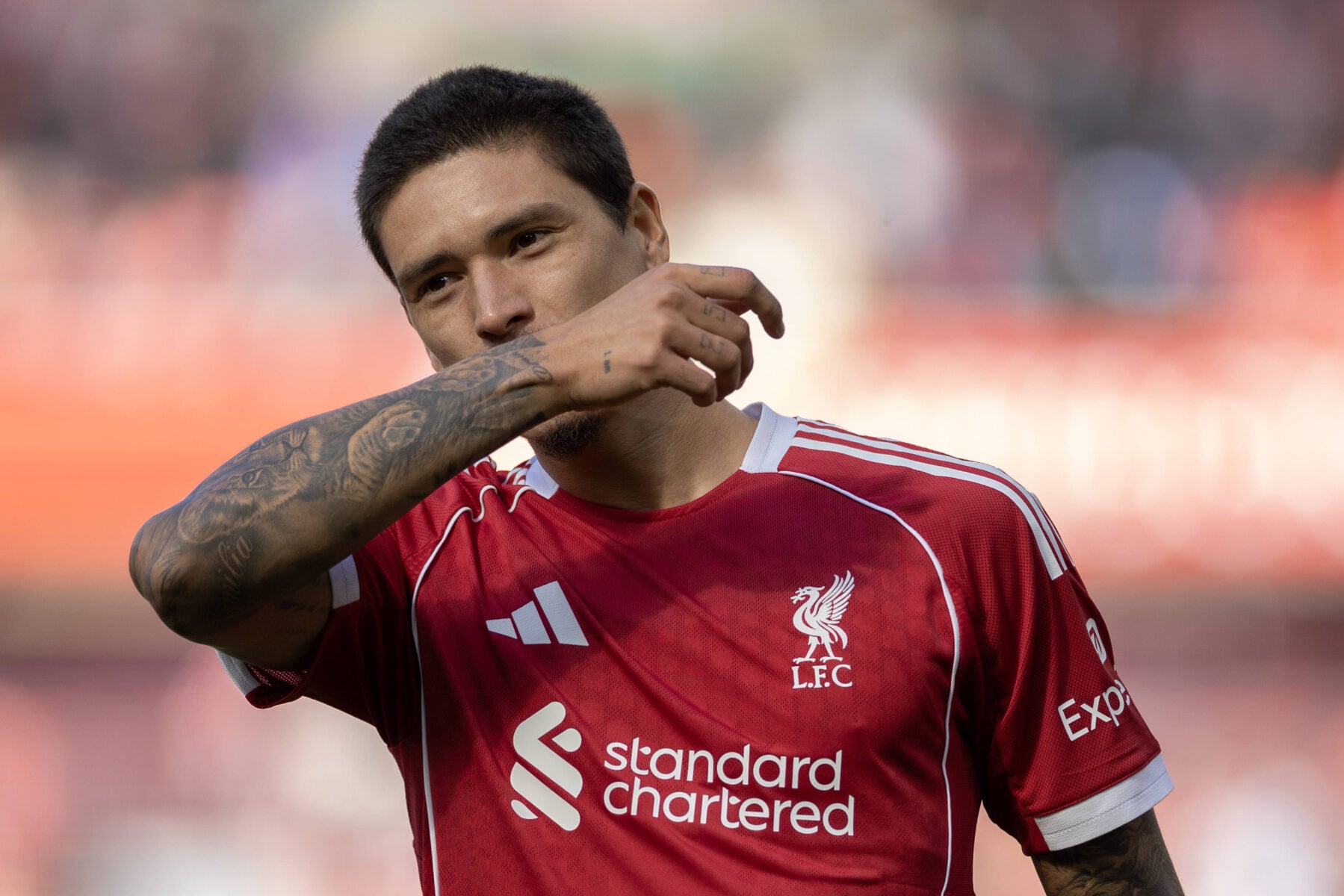 Darwin Nunez har afsløret den nye signing før Liverpool.