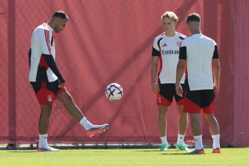 Andreas Schjelderup er aldrig blev forløst i Benfica. Nu sker der endnu en interessant ændring omkring den norske offensivspiller.