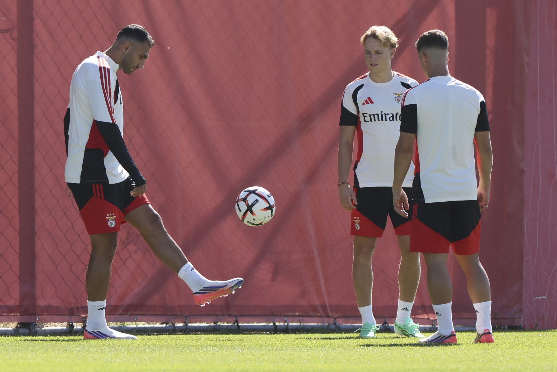 Andreas Schjelderup er aldrig blev forløst i Benfica. Nu sker der endnu en interessant ændring omkring den norske offensivspiller.