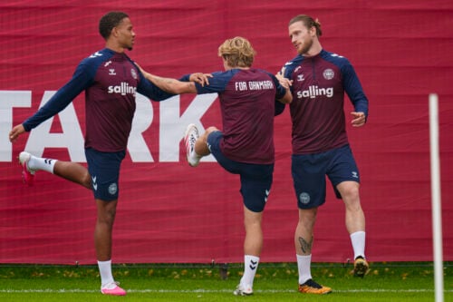 Danmark er blevet ramt af endnu en skade forud for opgøret mod Wales. Dermed fortsætter hovedpinen for landstræner Brian Riemer.